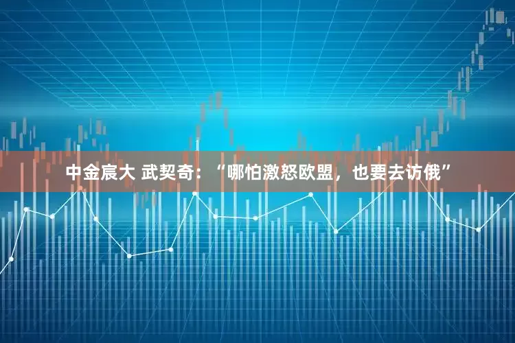 中金宸大 武契奇：“哪怕激怒欧盟，也要去访俄”